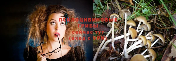 экстази Карпинск