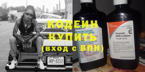 шишки Киренск