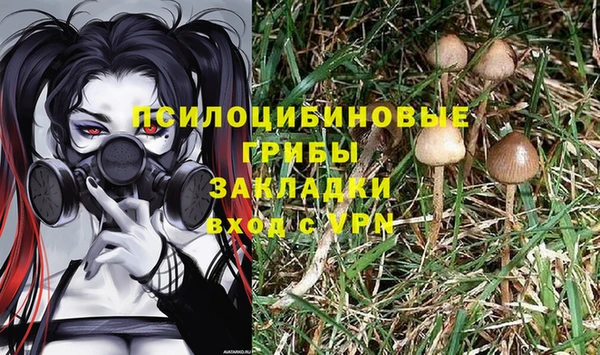 шишки Киренск