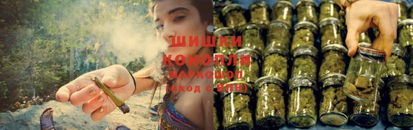хмурый Вуктыл