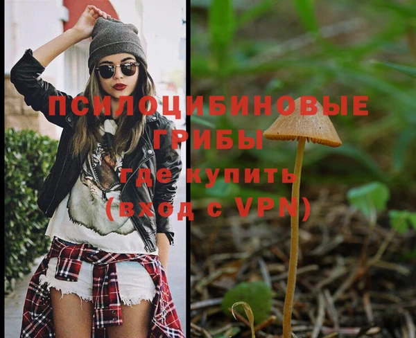 хмурый Вуктыл