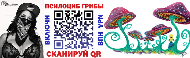 Галлюциногенные грибы Psilocybine cubensis  купить наркотики сайты  Котово 